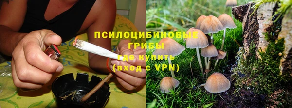 jwh Протвино