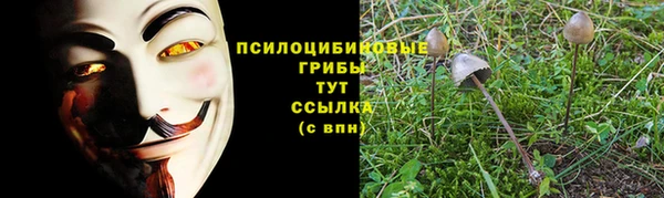 jwh Протвино