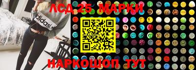 эйфоретик Гай