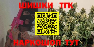 Альфа ПВП Гатчина