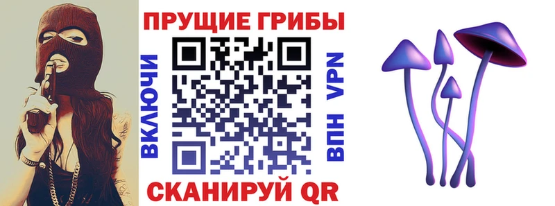 OMG рабочий сайт  магазин    Пермь  Псилоцибиновые грибы ЛСД 