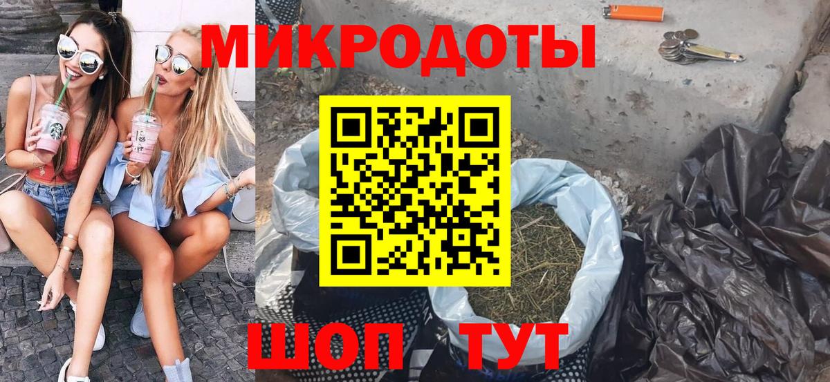 Галлюциногенные грибы Psilocybine cubensis  Пермь 