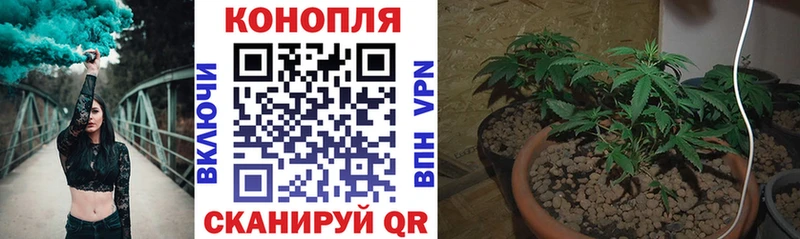 Канабис Amnesia Пермь